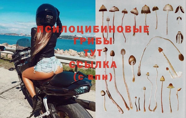 твердый Баксан
